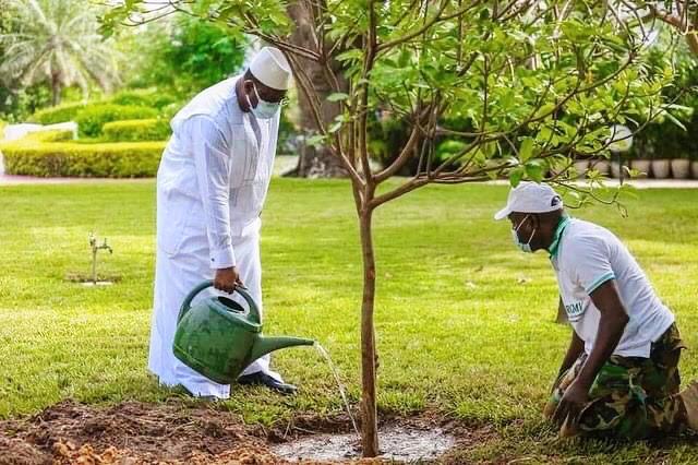 [Photos] Le président Macky Sall a planté son 5e arbre au palais