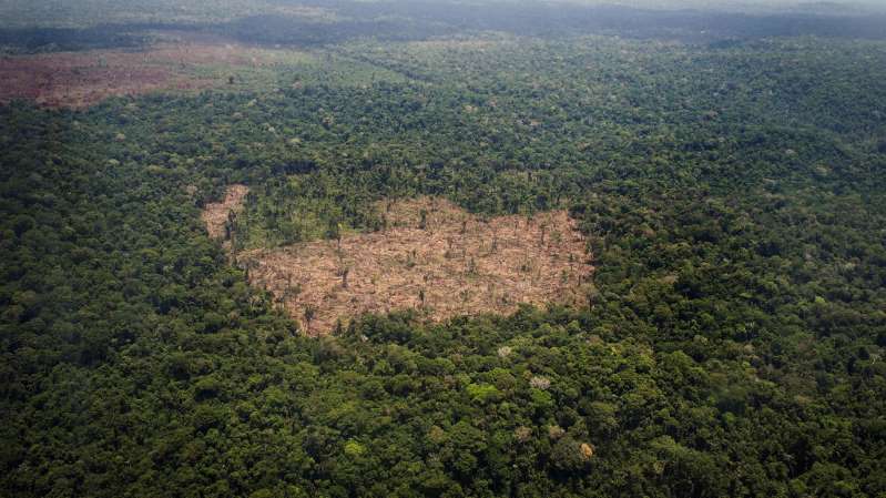 La coalition Brésil Climat Forêt et Agriculture appelle à freiner la déforestation