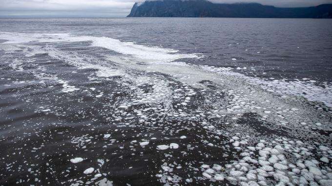 Russie : une « catastrophe écologique » provoque la mort massive d’animaux marins près des côtes du Kamtchatka