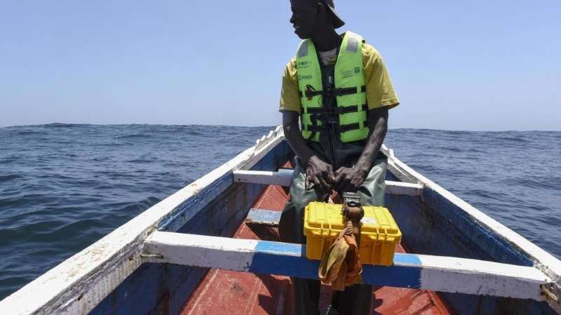 Sénégal: polémique sur l’octroi de licences de pêche à des sociétés chinoises