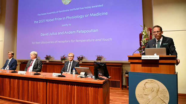 Le Nobel de médecine attribué aux Américains David Julius et Ardem Patapoutian