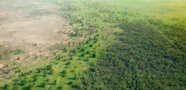 Grande muraille verte: Macky annonce un vaste chantier environnemental au Sénégal