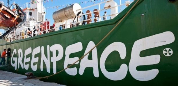 Nappe jaunâtre suspecte sur la Petite Côte : Greenpeace Afrique invite l’État du Sénégal à rendre publics les résultats de l’enquête