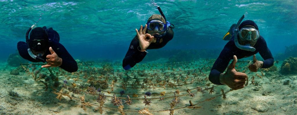 Protéger les récifs coralliens aux Fidji￼￼￼￼