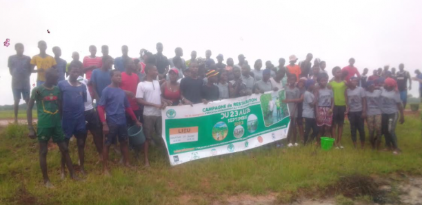 Restauration des mangroves à Ziguinchor : Des jeunes au front la reconquête des rizières perdues